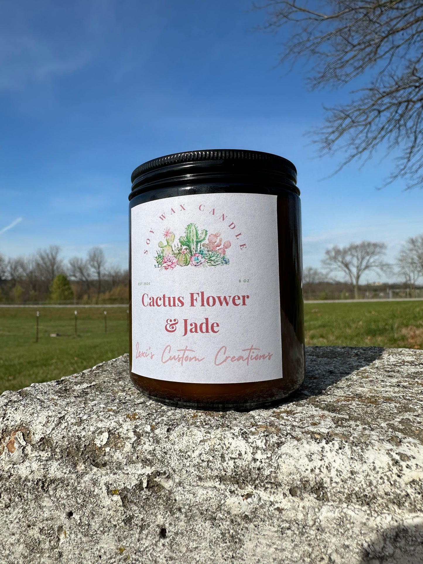 Cactus Flower and Jade