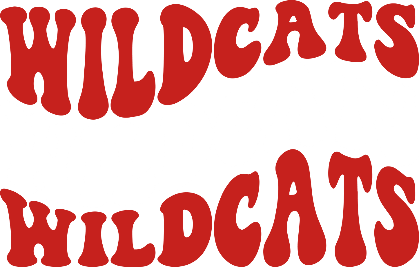 Wildcat Vibes