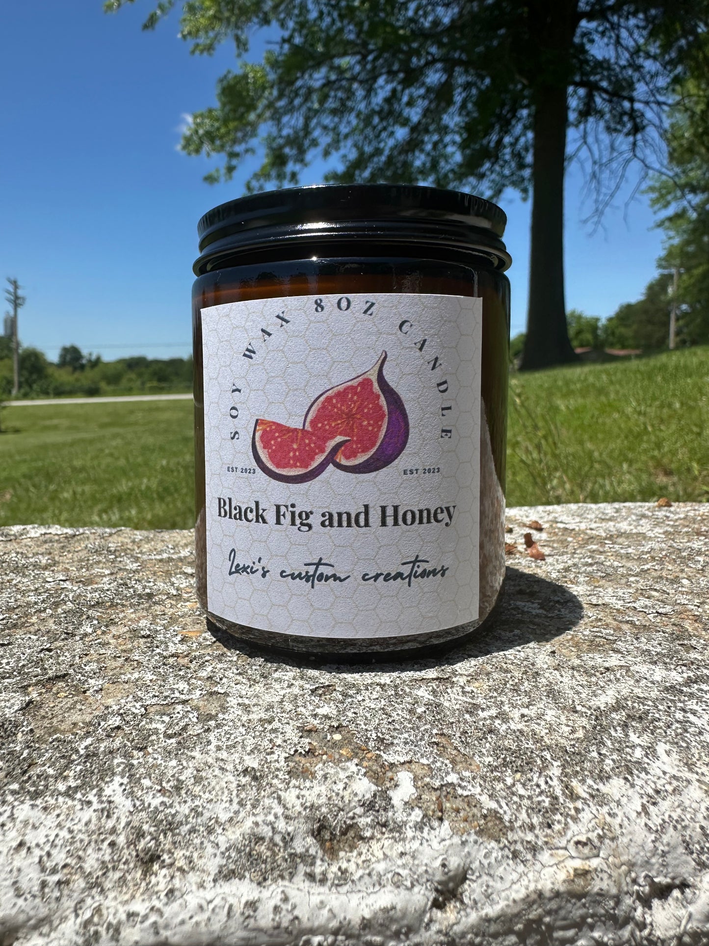 Black fig and honey 🍯