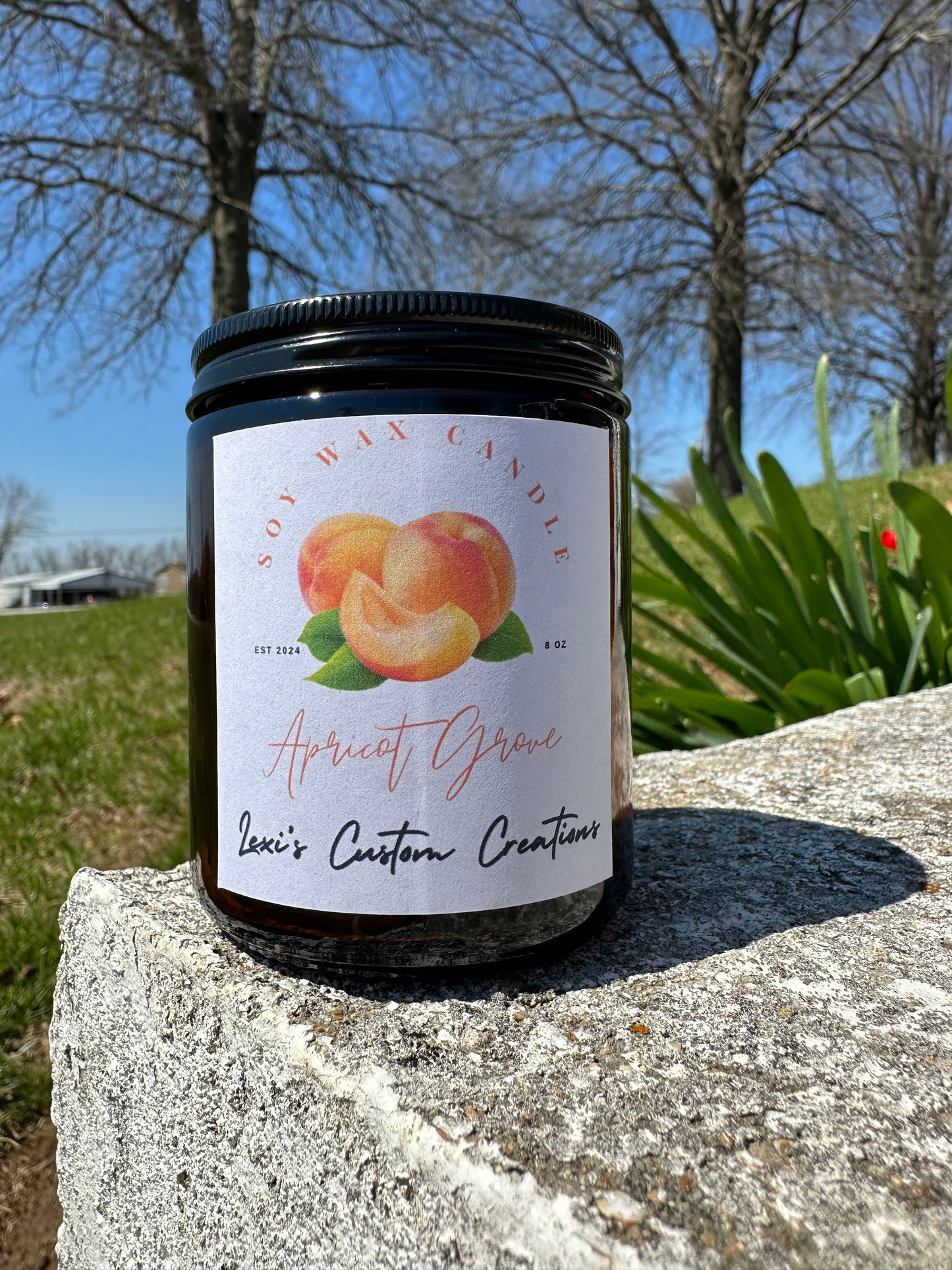Apricot Grove