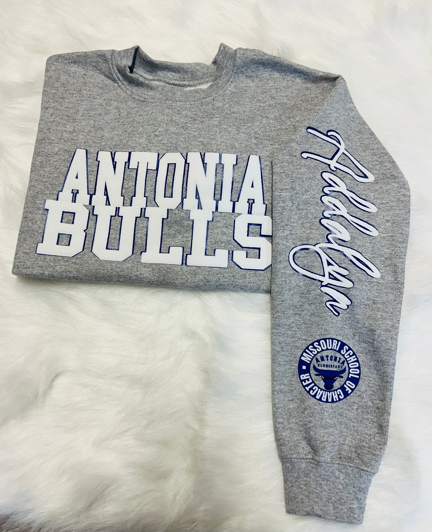 Custom sports team sweatshirts *Put size, colors and name of school in comments* Price includes ONE sleeve and front design, if wanting more message me.
