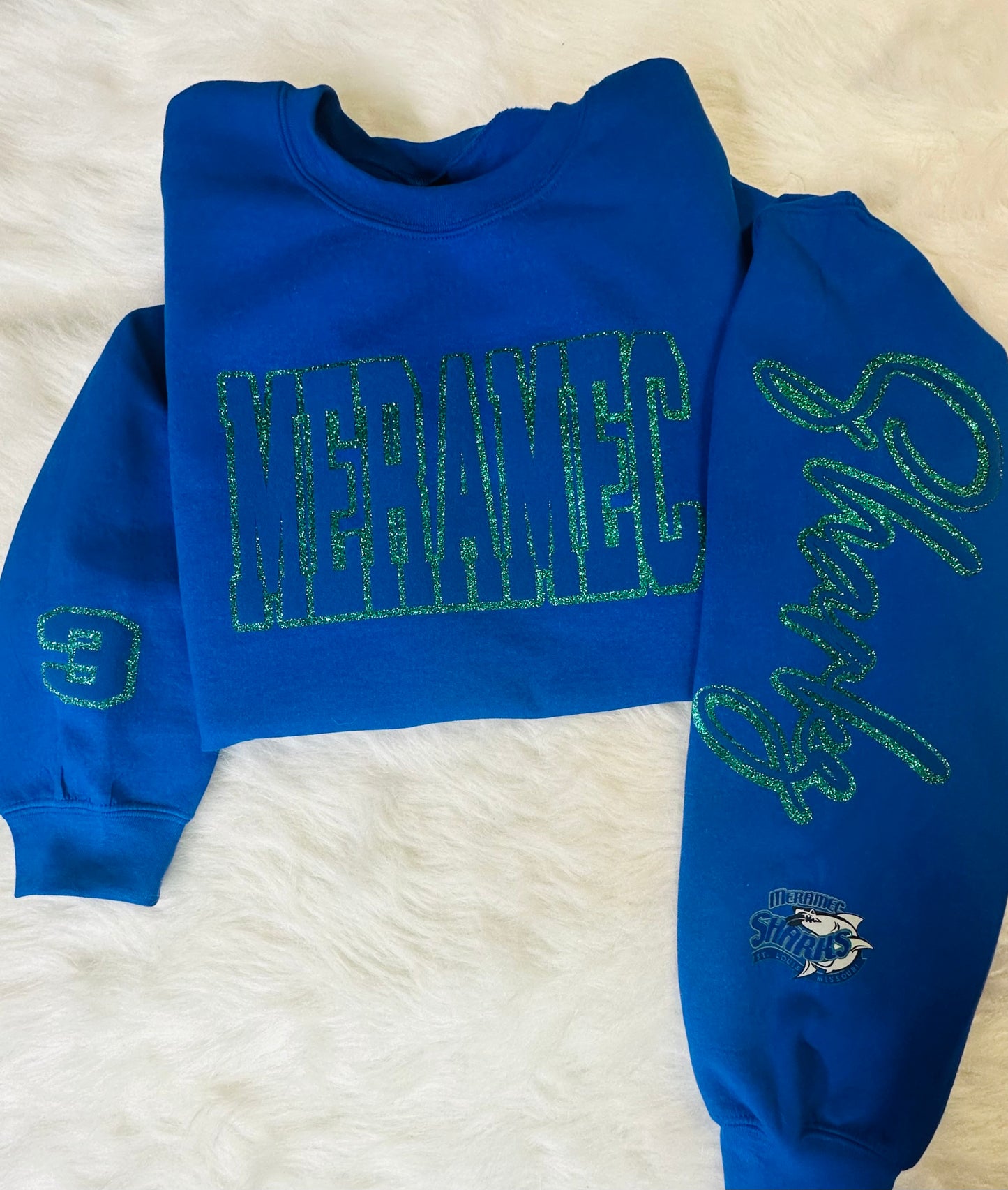 Custom sports team sweatshirts *Put size, colors and name of school in comments* Price includes ONE sleeve and front design, if wanting more message me.