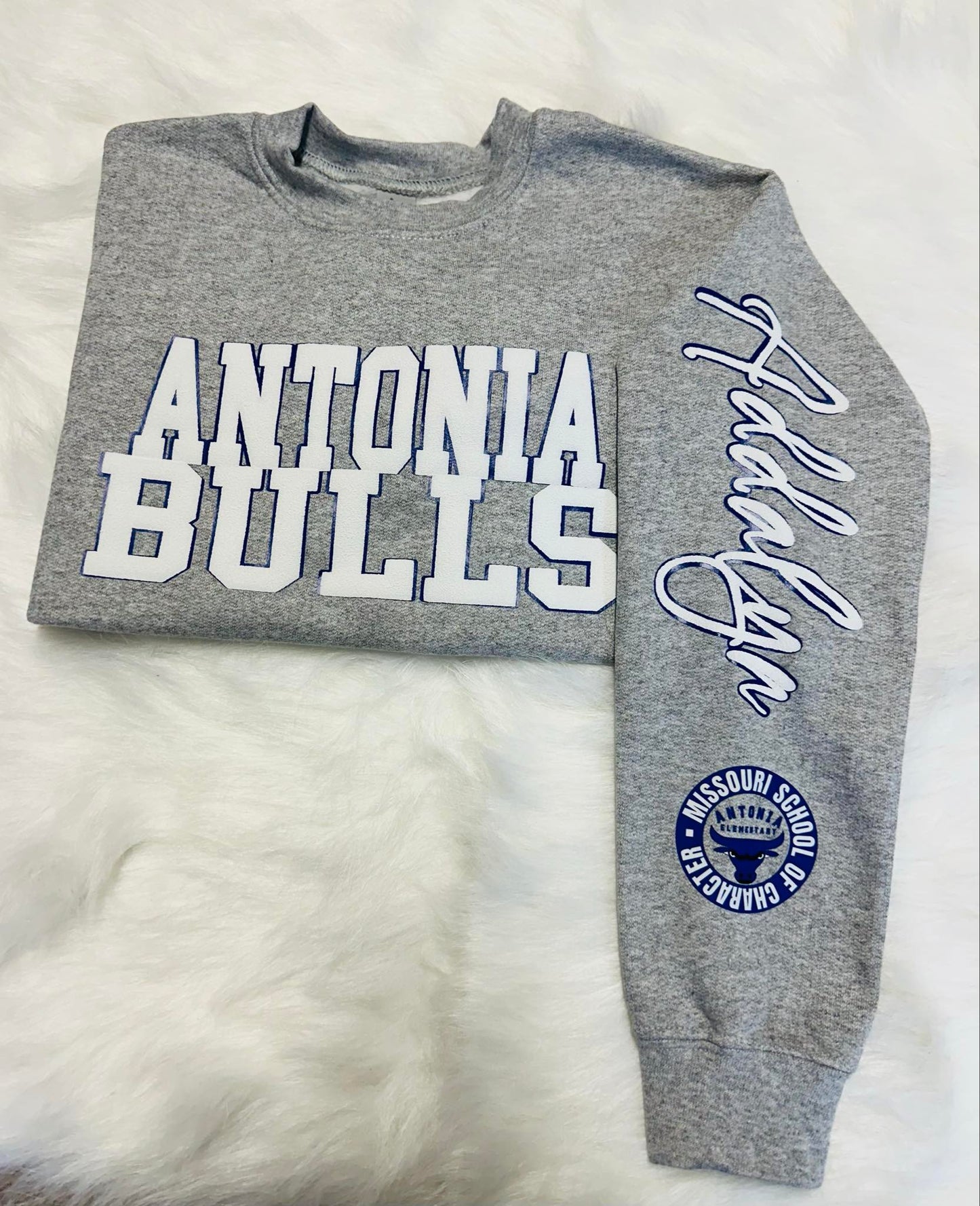 Custom sports team sweatshirts *Put size, colors and name of school in comments* Price includes ONE sleeve and front design, if wanting more message me.