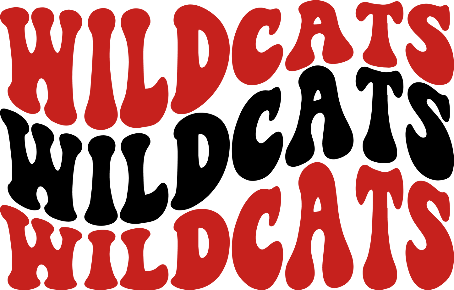 Wildcat Vibes