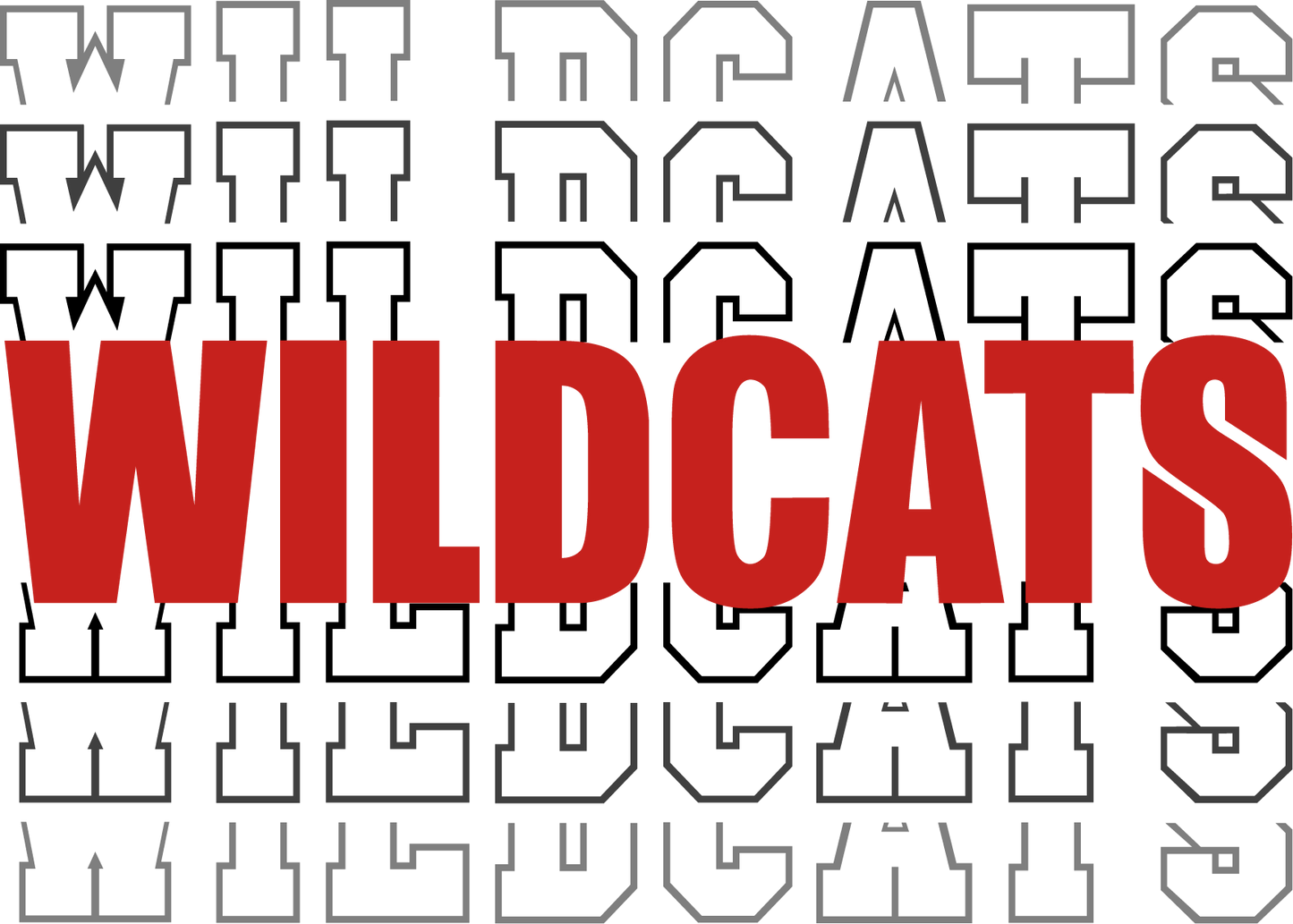 Wildcat Vibes